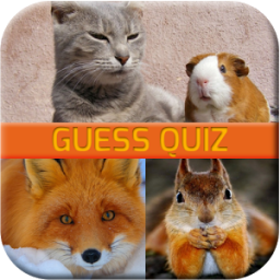Animal Quiz Game App by JingjaiNa