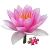 Jigsaw Puzzle: Flowers app by Pink Pointer