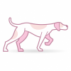 App Portal by Pink Pointer