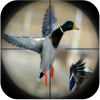 Duck Hunting Calls App by Ape X Apps 333