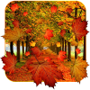Fall Live Wallpaper App by App Basic