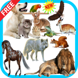 Animal Sounds App by berzanov