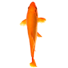 Fish App by Dmitsoft