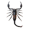 Scorpion App by Dmitsoft