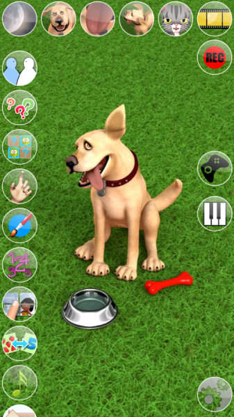 Screen Shot Image