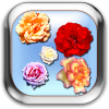 Roses of Rome Live Wallpaper app by 1473labs