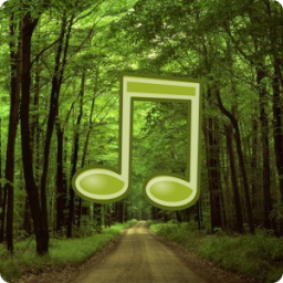Forest Sounds Nature To Sleep App by Zodinplex