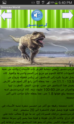 Screen Shot Image