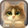 Tummy The Kitten Lite App by apofiss