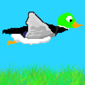 Duck and Cover App by BasSoft