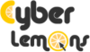 Developer Portal Image