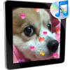 Music Player Hearts Wallpaper App by EnyaStory