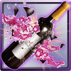 Shoot Bottles app by Leo De Sol Apps