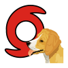 Hurricane Hound App by STKI Concepts
