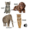 Animal sounds - App for kids App by Ursa Games