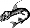 +animal+aquatic+real+sea+monster+ clipart