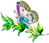 +bug+insect+flying+butterfly+on+plant+left+ clipart