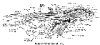 +animal+amphibians+carnivorous+anura+Frog+structure+ clipart