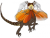 +animal+Frill+necked+lizard+dragon+ clipart