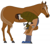 +animal+ungulate+mammal+Equidae+shoeing+horse+ clipart