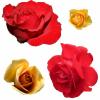 +background+desktop+isolated+flower+clipart+13928213573x8+ clipart