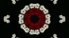 +background+desktop+kaleidoscope+flower+art+round+ clipart