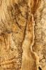 +background+desktop+wood+texture+14064700406ZG+(1)+ clipart