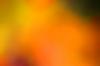 +background+desktop+yellow+background+blur+(1)+ clipart